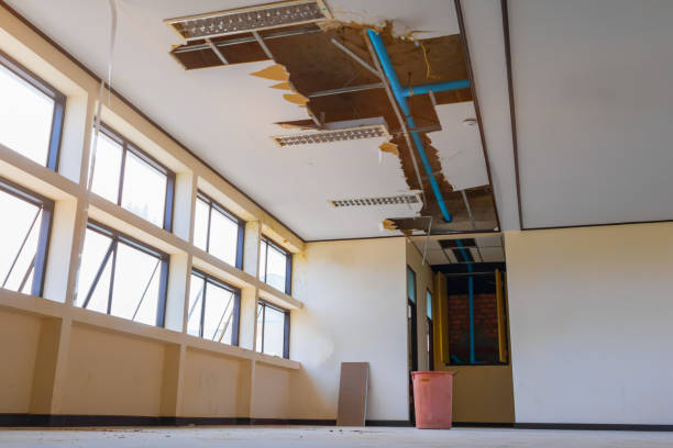 Best Ceiling water damage repair  in Pingree Grove, IL