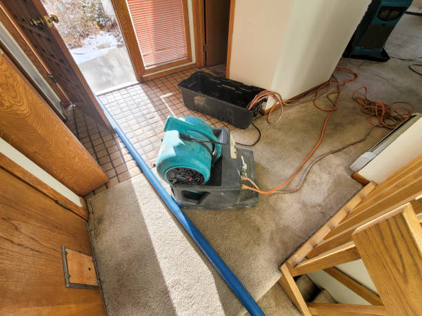 Best Emergency water damage restoration  in Pingree Grove, IL