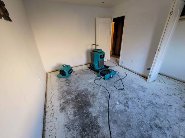 Best Fire Damage Restoration  in Pingree Grove, IL