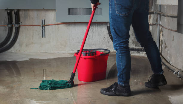 Best Water damage restoration process  in Pingree Grove, IL