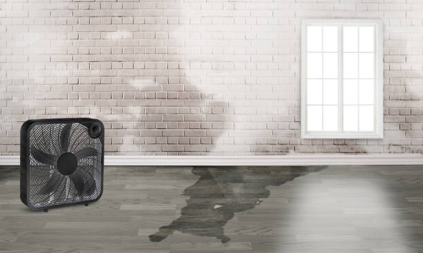 Best Residential water damage restoration  in Pingree Grove, IL