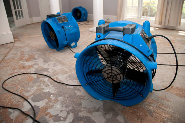  Pingree Grove, IL Water damage restoration Pros