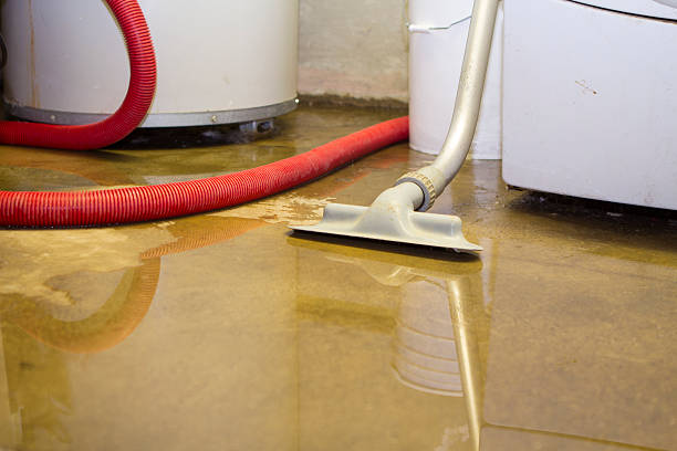 Best Commercial water damage restoration  in Pingree Grove, IL