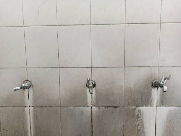 Best Water damage restoration near me  in Pingree Grove, IL