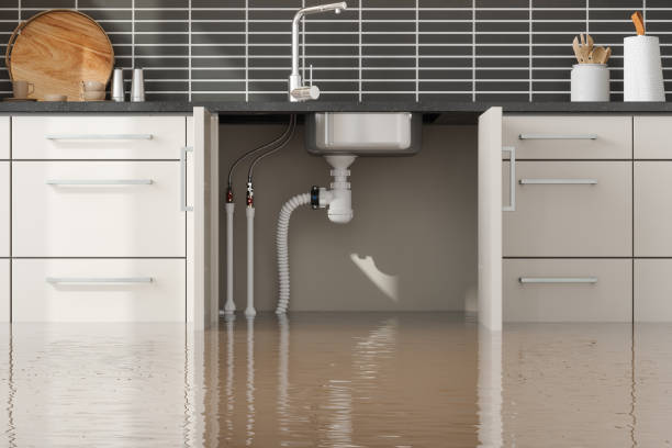 Best Basement water damage restoration  in Pingree Grove, IL