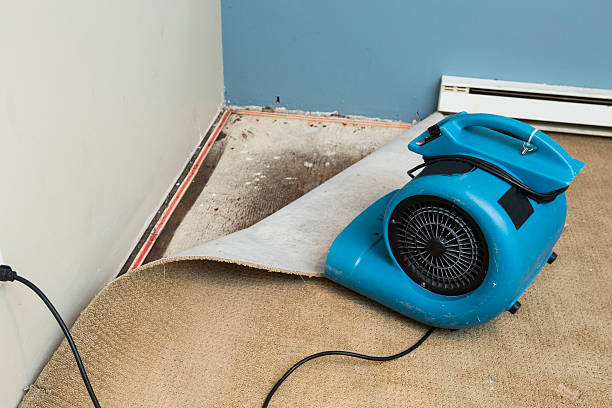 Best Emergency water damage restoration  in Pingree Grove, IL